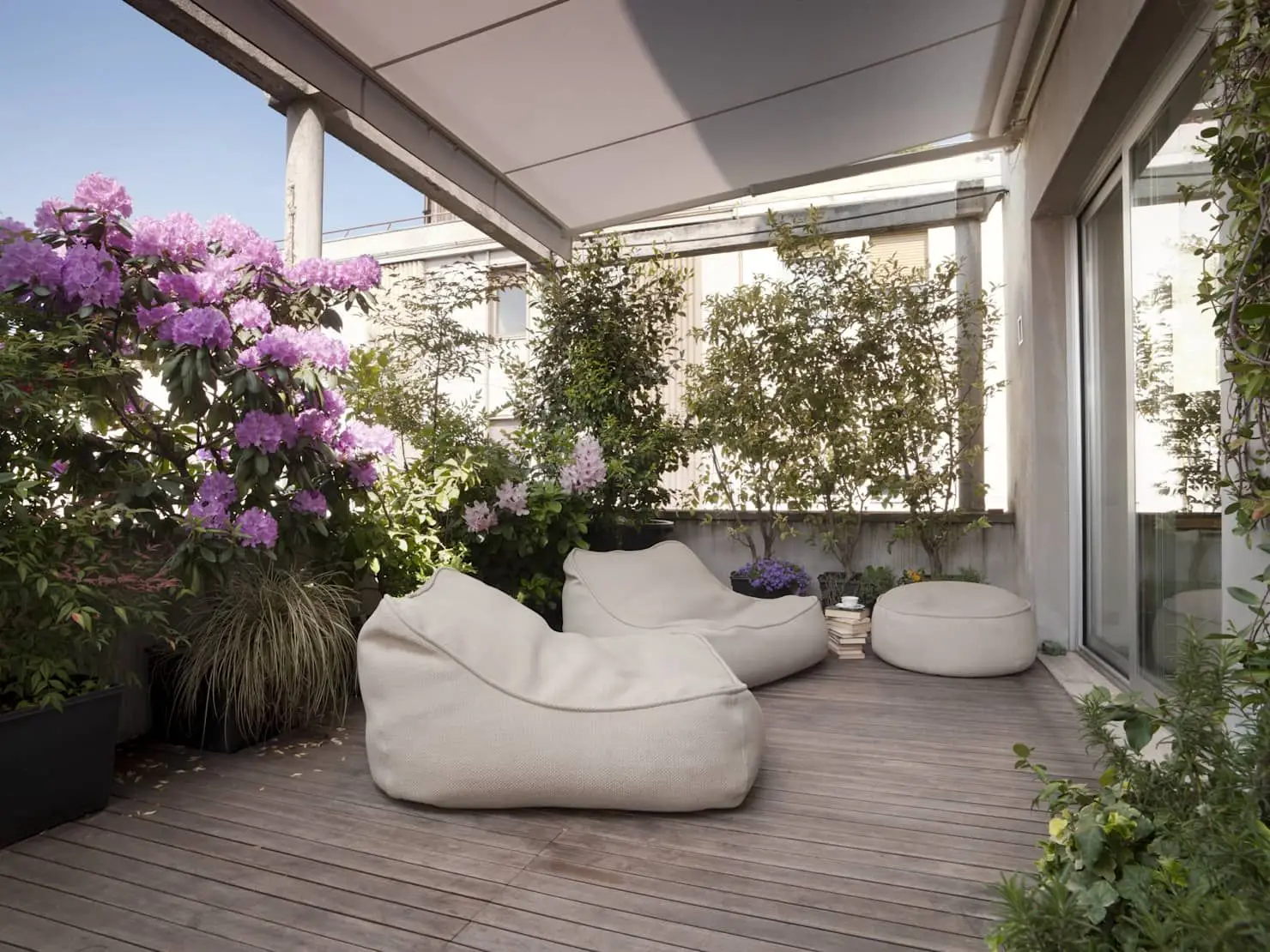 Vuoi relax all'aperto? Ecco la pianta aromatica che purifica l'aria in terrazza Vuoi relax all'aperto? Ecco la pianta aromatica che purifica l'aria in terrazza