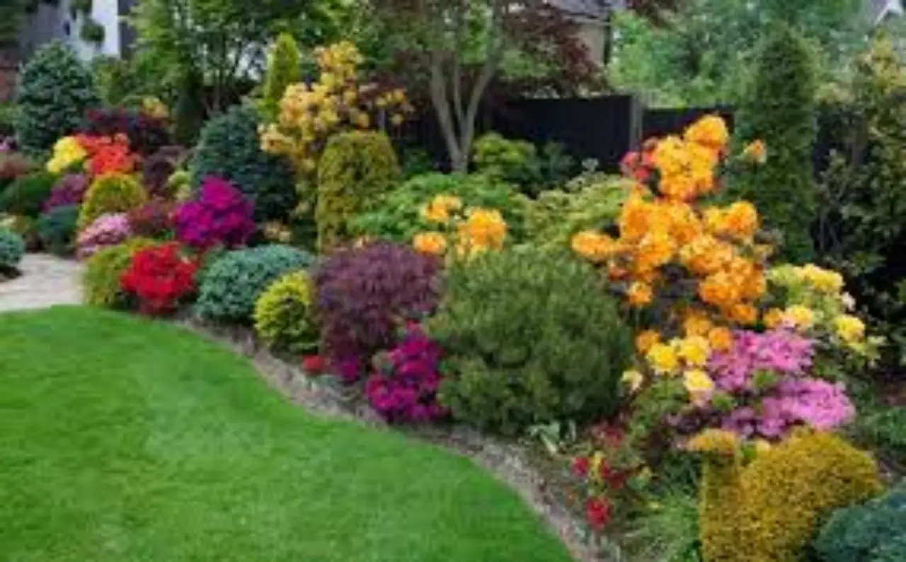 Come scegliere la pianta giusta per avere meno insetti in giardino durante la bella stagione Come scegliere la pianta giusta per avere meno insetti in giardino durante la bella stagione