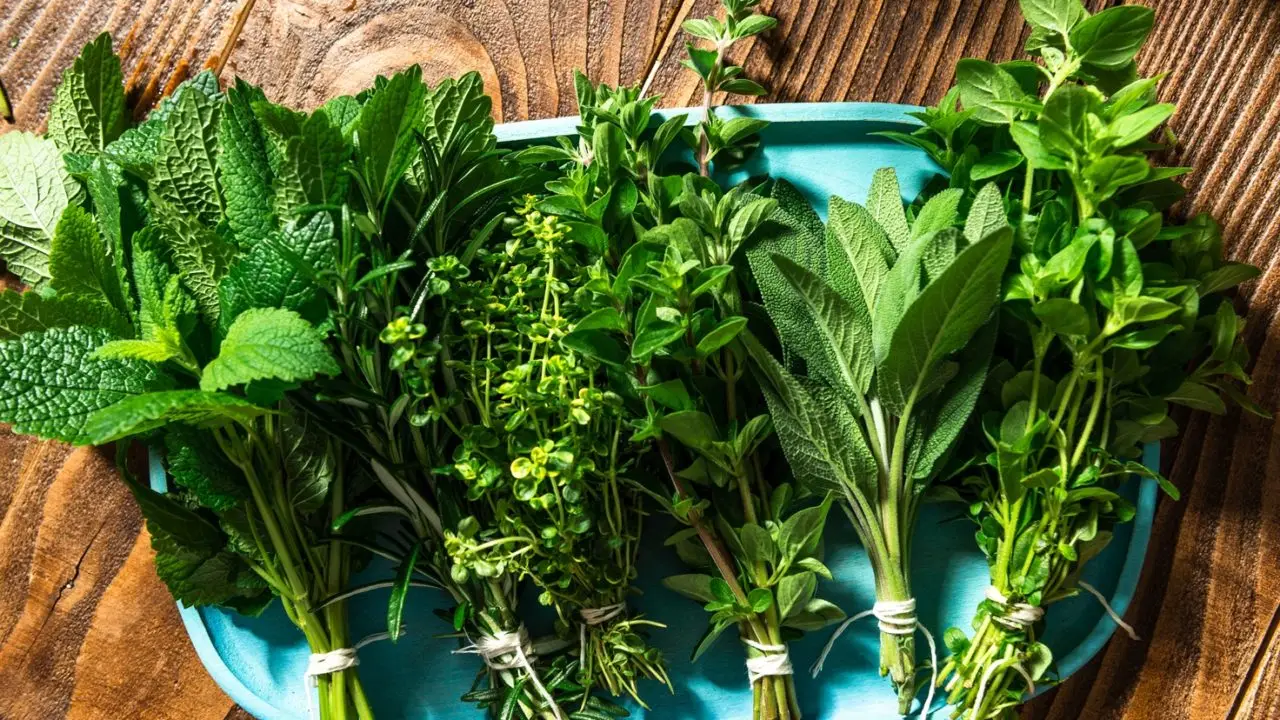 Scopri il segreto delle erbe aromatiche che attirano farfalle nel tuo balcone Scopri il segreto delle erbe aromatiche che attirano farfalle nel tuo balcone