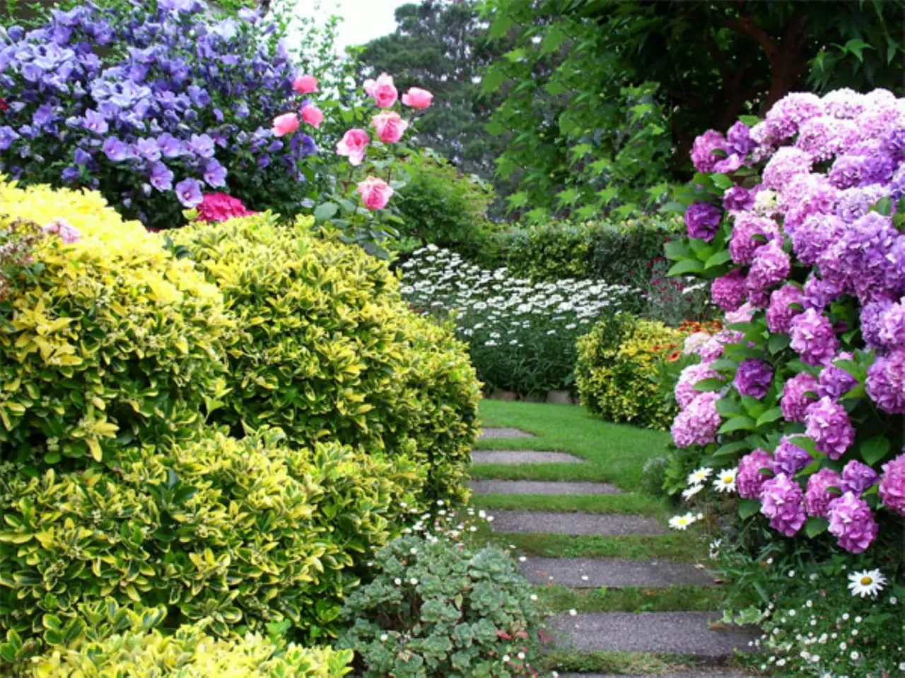 Le 3 specie di piante resistenti alla siccità più amate nei giardini mediterranei Le 3 specie di piante resistenti alla siccità più amate nei giardini mediterranei