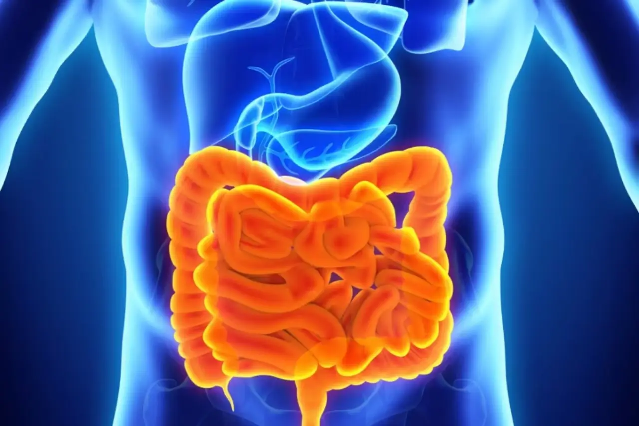 I 4 alimenti fermentati ideali per riequilibrare l’intestino nei mesi estivi I 4 alimenti fermentati ideali per riequilibrare l’intestino nei mesi estivi