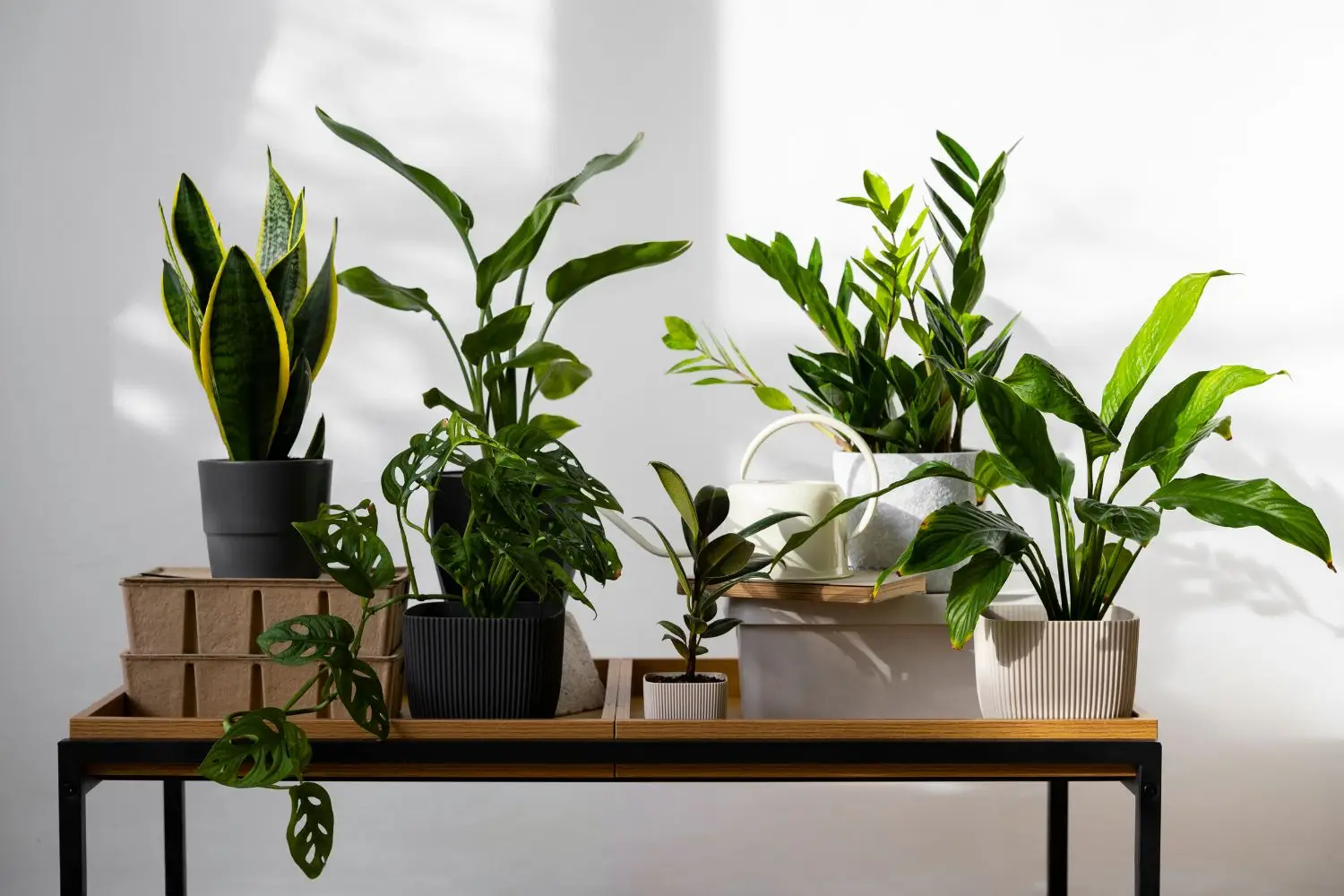 Piante che fioriscono senza annaffiatura: le nuove varietà per terrazzi assolati Piante che fioriscono senza annaffiatura: le nuove varietà per terrazzi assolati