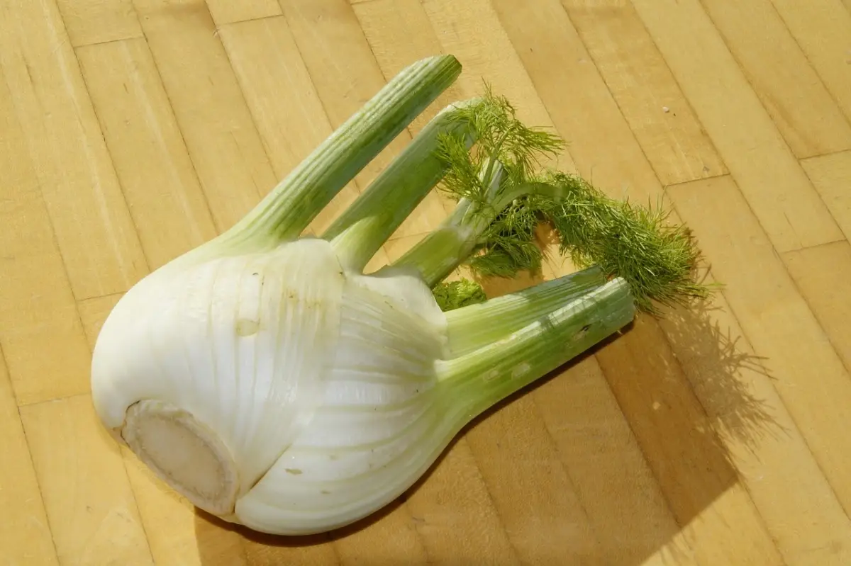 Perché il finocchio aiuta subito la regolarità dopo una cena abbondante Perché il finocchio aiuta subito la regolarità dopo una cena abbondante