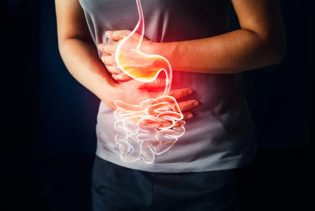Cibi ricchi di magnesio: perché aiutano contro la stitichezza estiva e come usarli Cibi ricchi di magnesio: perché aiutano contro la stitichezza estiva e come usarli