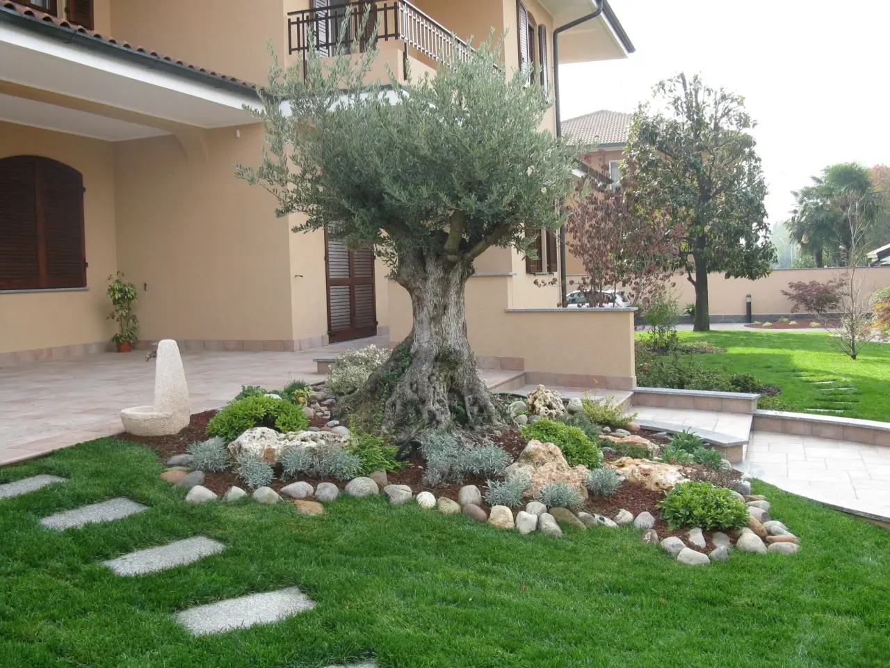 Tre strategie per coltivare una zona verde senza irrigazione e piena di farfalle