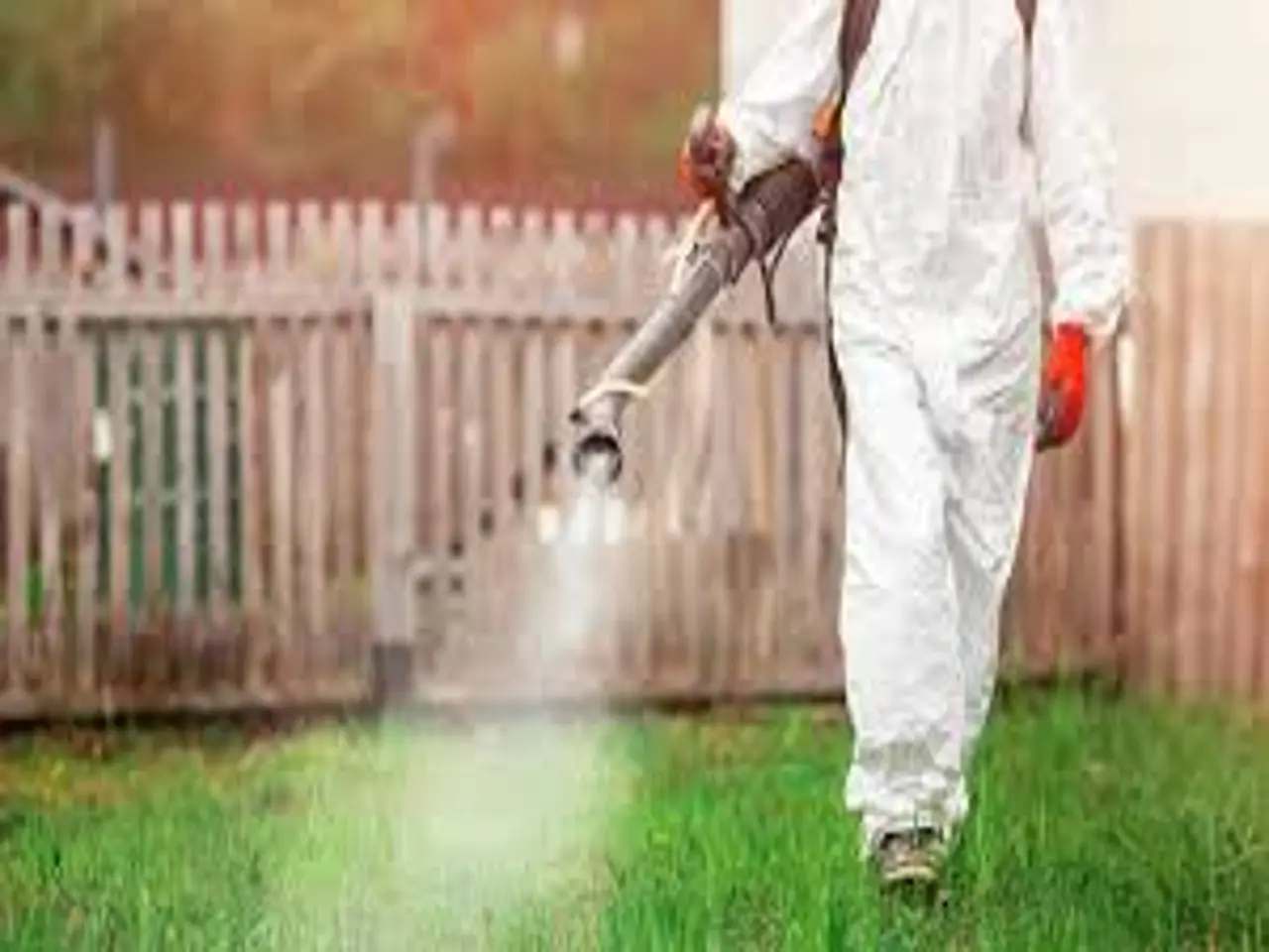 Disinfestazione adulticida: cosa significa, come funziona e perché è importante per la salute di tutti