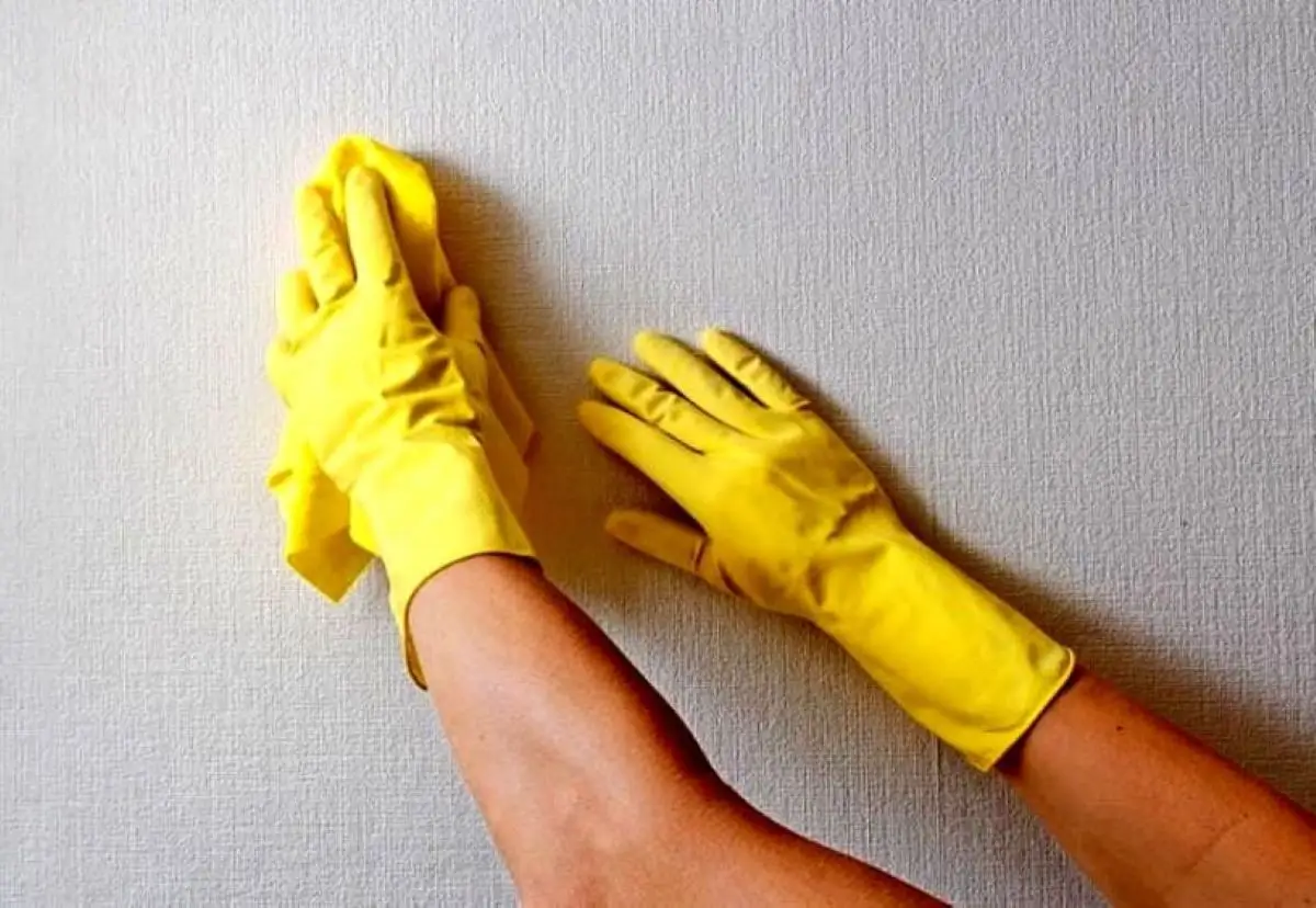 Spugna magica per le pareti: trucchi e consigli per pulire i muri senza rovinarli