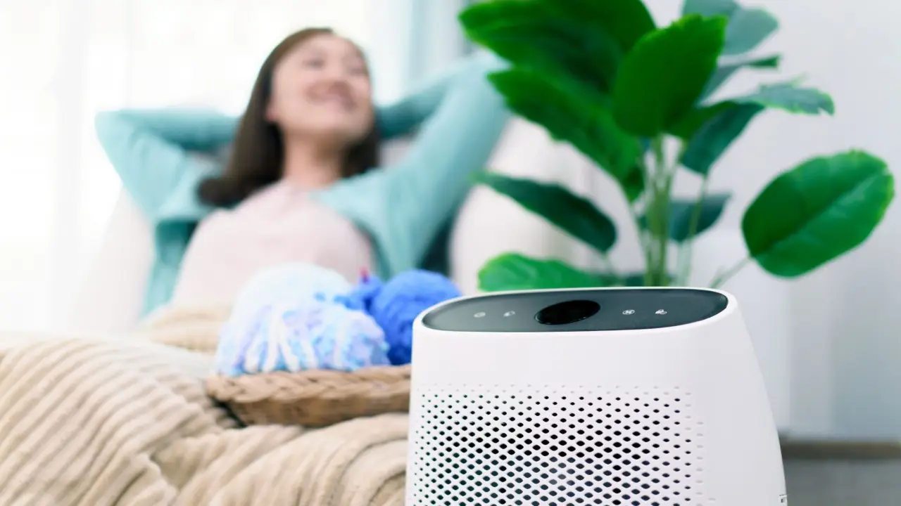 Aria troppo umida in casa? Ecco come deumidificare gli ambienti e migliorare il benessere domestico