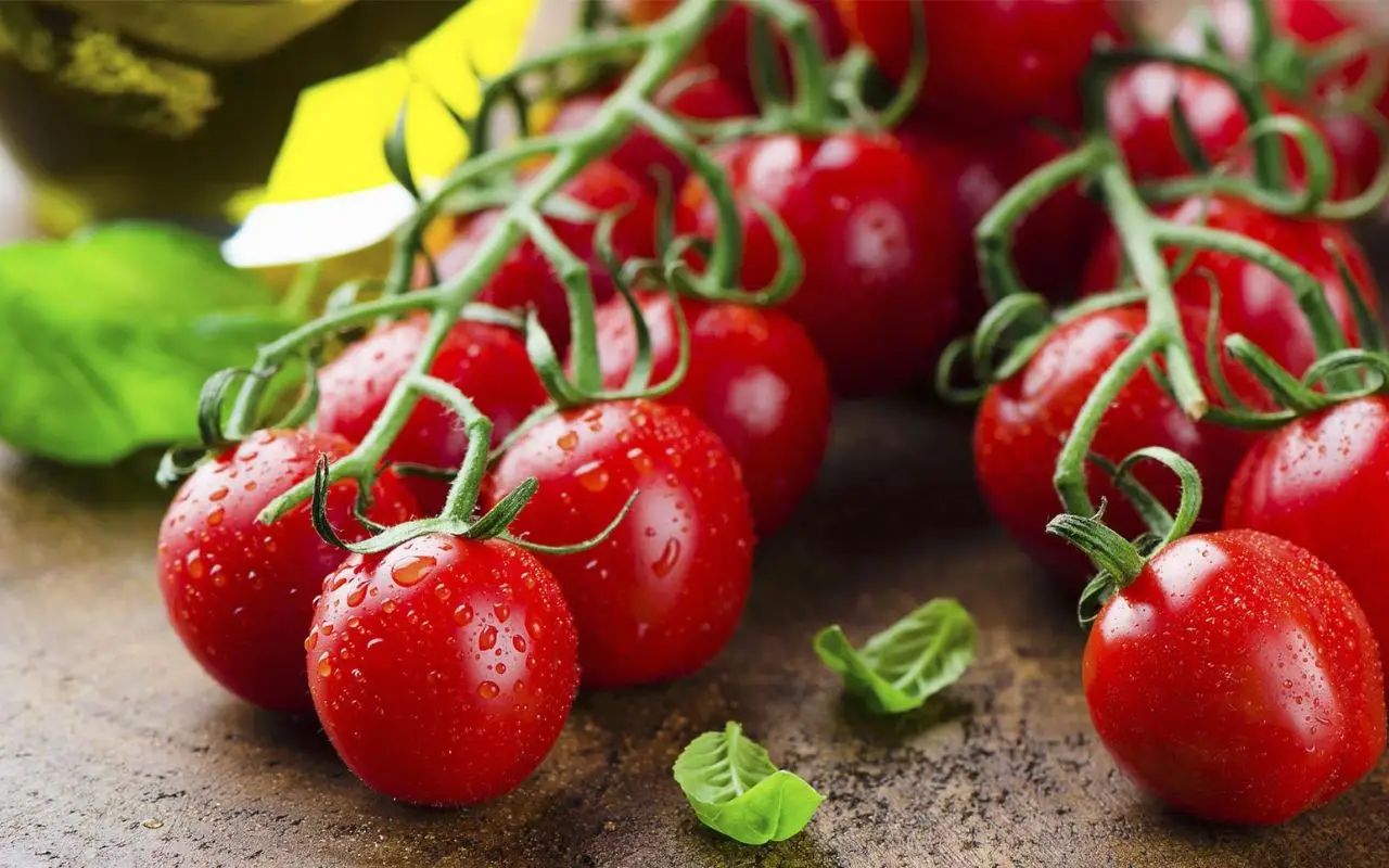 Come coltivare pomodori e melanzane insieme: distanza ideale e trucchi per un orto sano