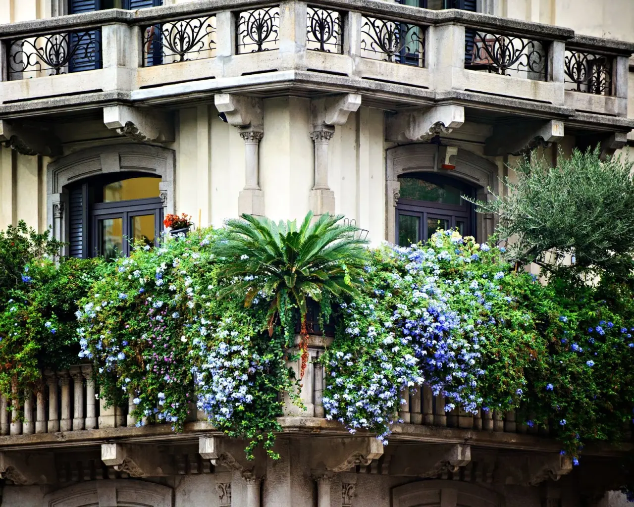 Vuoi un terrazzo profumato senza zanzare? Scegli queste varietà adatte al clima caldo Vuoi un terrazzo profumato senza zanzare? Scegli queste varietà adatte al clima caldo