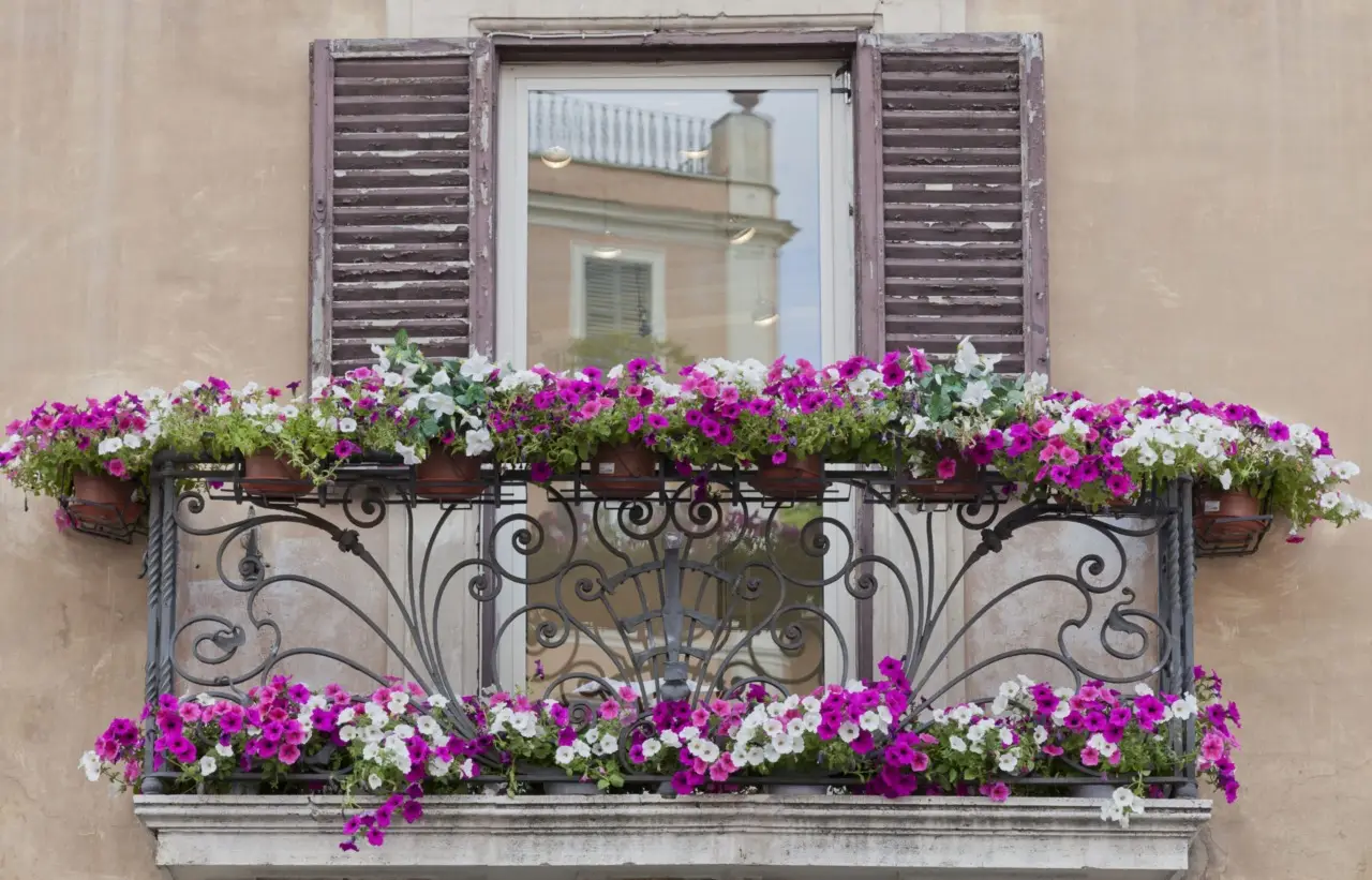 Vuoi un terrazzo profumato senza zanzare? Scegli queste varietà adatte al clima caldo Vuoi un terrazzo profumato senza zanzare? Scegli queste varietà adatte al clima caldo
