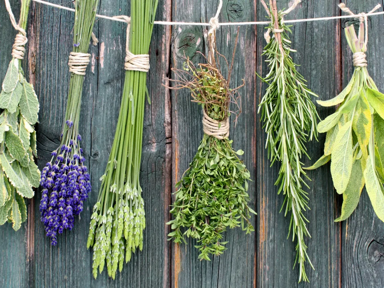 Vuoi rilassarti davvero? Realizza un angolo aromatico con erbe detox facili da curare Vuoi rilassarti davvero? Realizza un angolo aromatico con erbe detox facili da curare