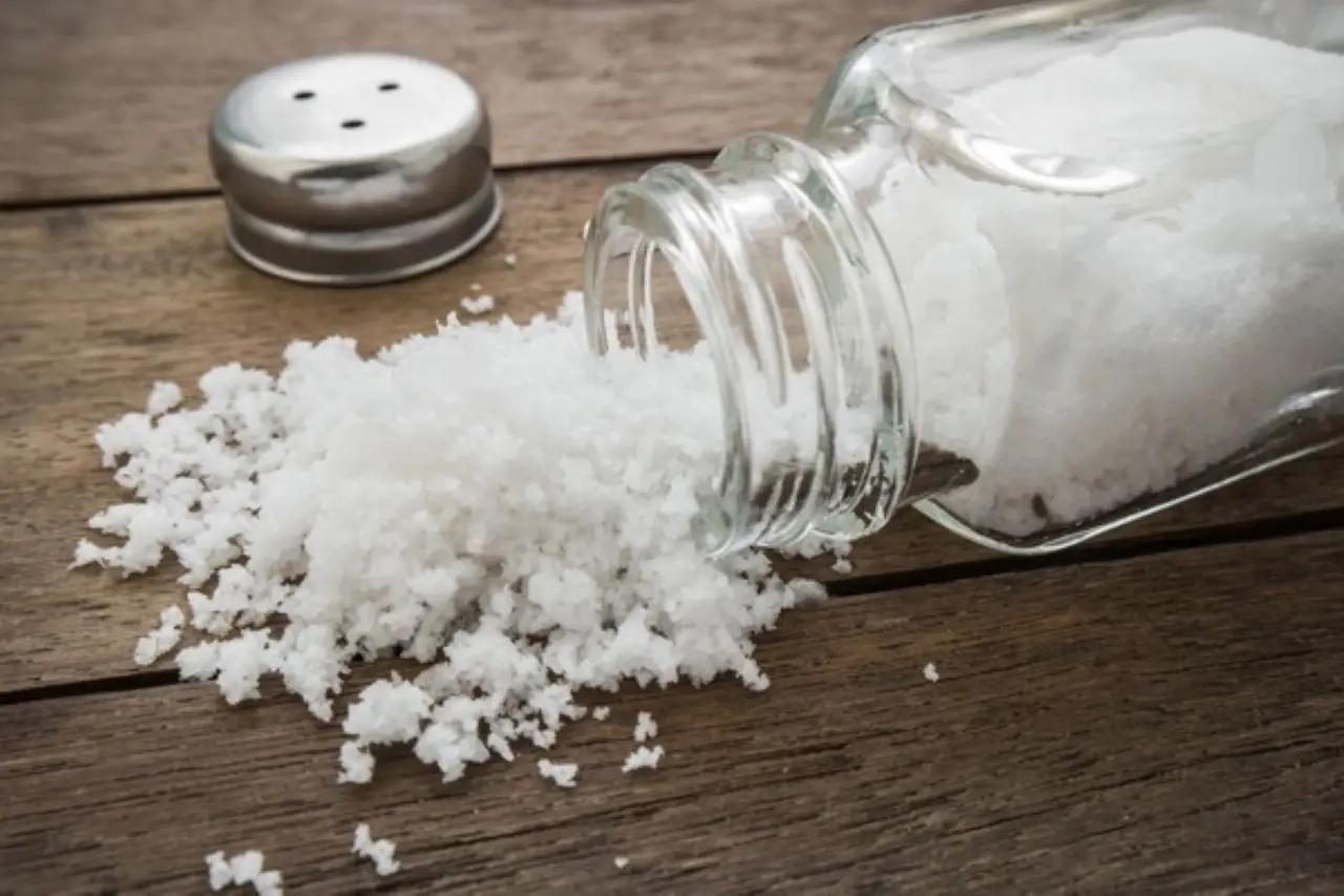 Il segreto dei giardinieri per allontanare le formiche con il sale grosso Il segreto dei giardinieri per allontanare le formiche con il sale grosso